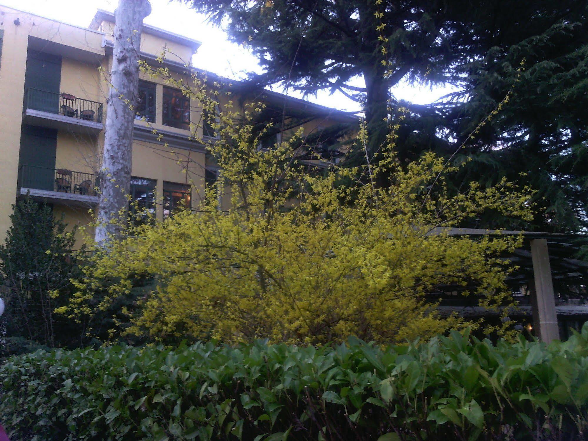 Hotel Salus ซาลิเช แตร์เม ภายนอก รูปภาพ